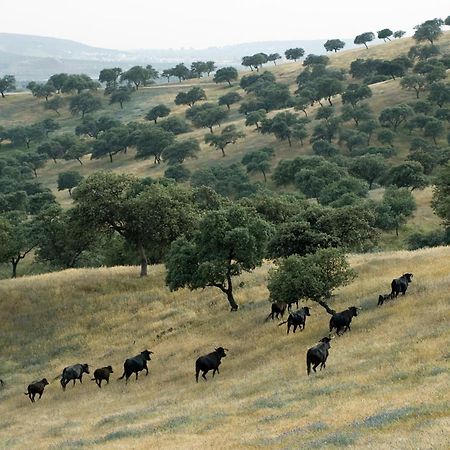 El Anadio Ξενοδοχείο Vilches Εξωτερικό φωτογραφία