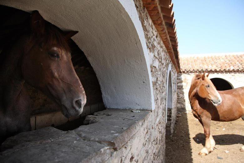 El Anadio Ξενοδοχείο Vilches Εξωτερικό φωτογραφία