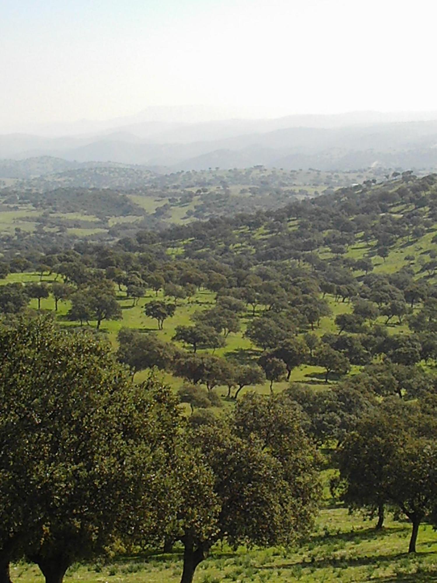 El Anadio Ξενοδοχείο Vilches Εξωτερικό φωτογραφία